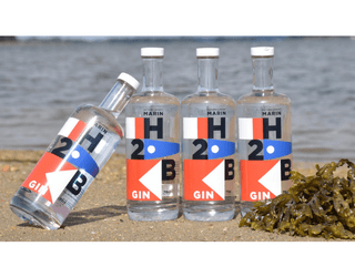 Distillerie du golfe gin h2b