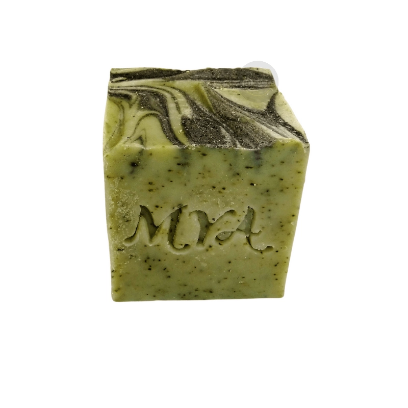 Savon Breizh'Algues (90G -...